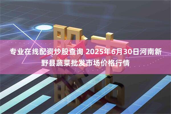 专业在线配资炒股查询 2025年6月30日河南新野县蔬菜批发市场价格行情